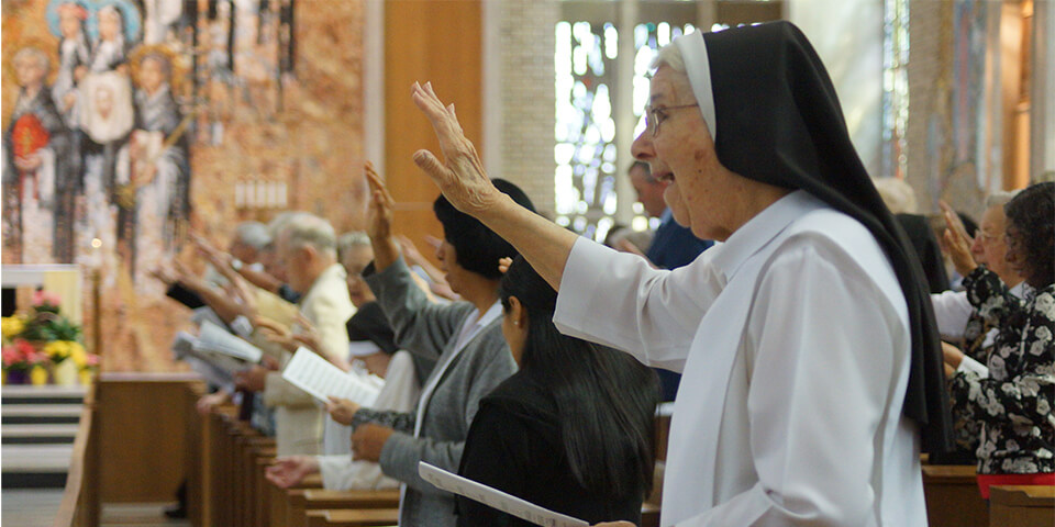 Dominican Sisters of Springfield IL
