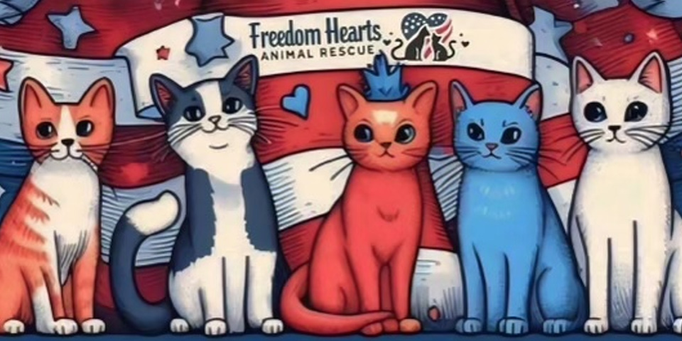 Freedom Hearts Animal Rescue